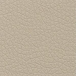 Pelle Ecologica Premium - Sand