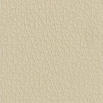 Pelle Ecologica Premium - Beige