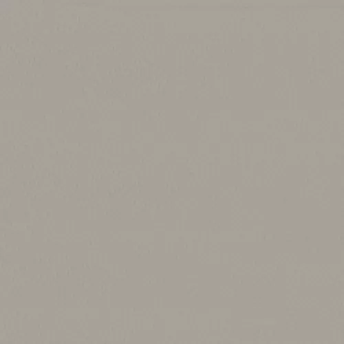 Лакированный металл - Светло-серый