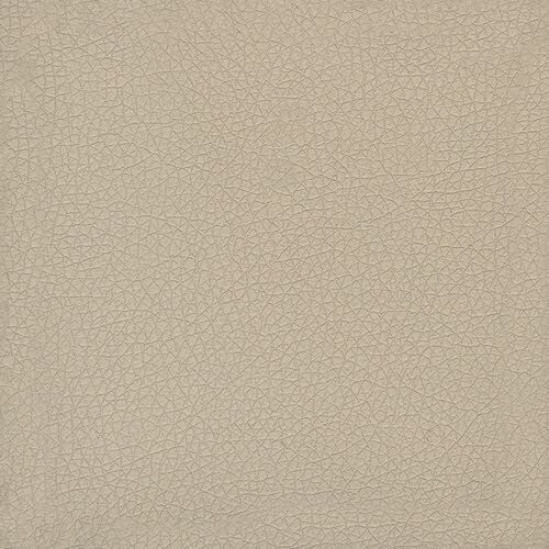 Piel prestige - Arena