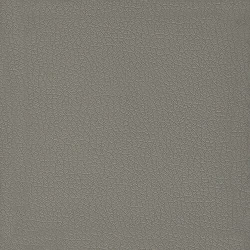 Piel prestige - Barro