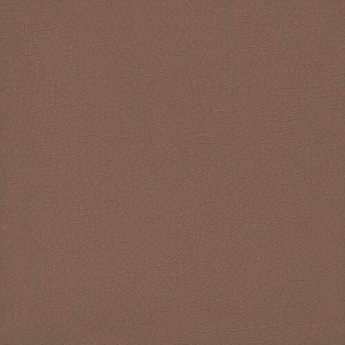 Piel prestige - Avellana