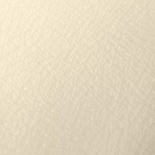 Piel Premium - Marfil