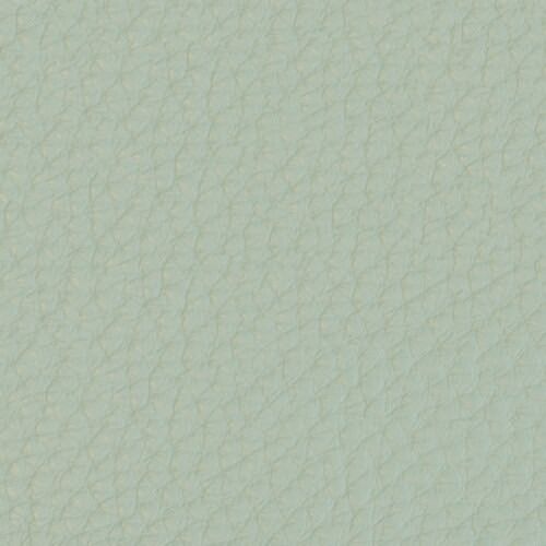 Piel Premium - Verde claro