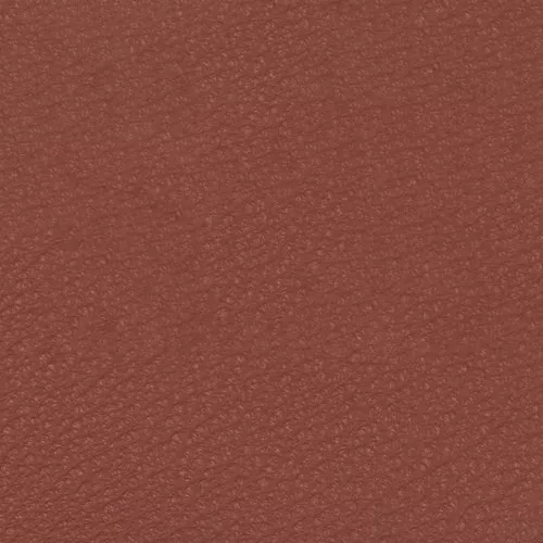 Piel Premium - Ladrillo