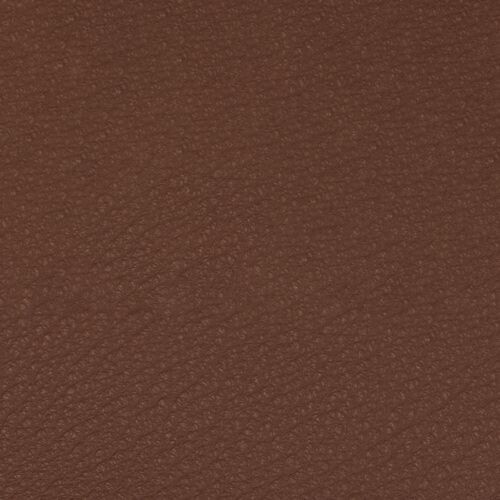 Piel Premium - Naranja quemado