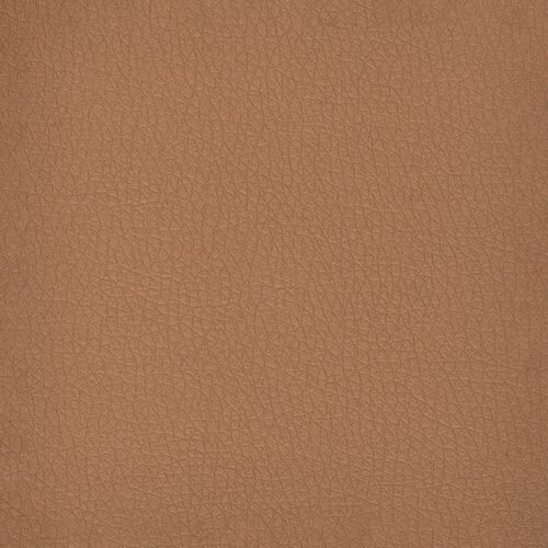 Ecopiel Premium - Biscocho