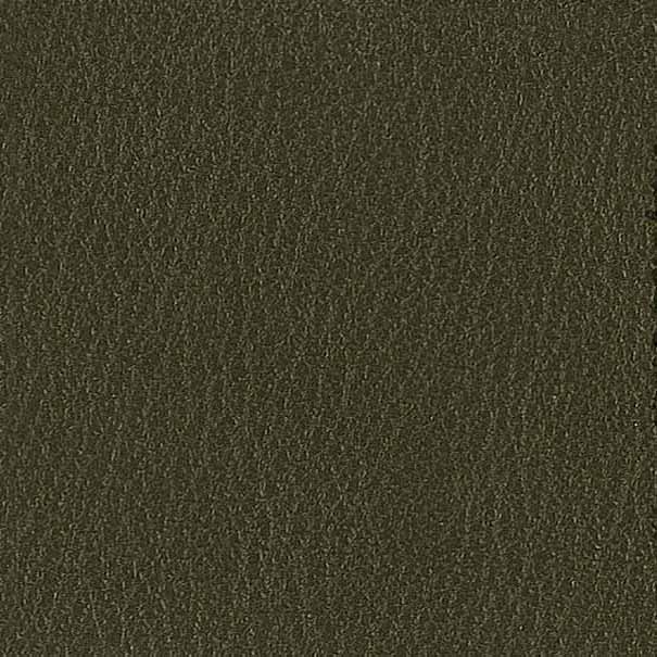 Pelle Premium - Dark green