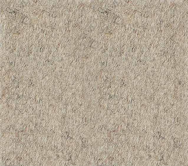Pure Virgin Wool - Naturale