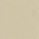 Pelle Ecologica Premium - Beige