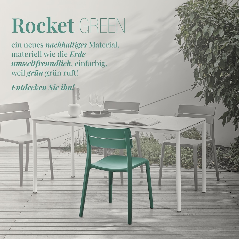 Rocket | Die Immergrüne