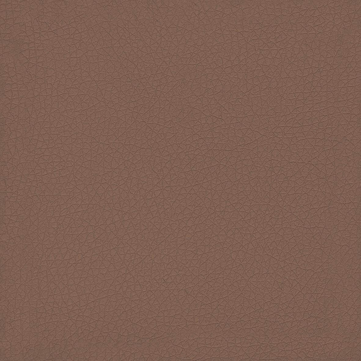 Piel prestige - Avellana