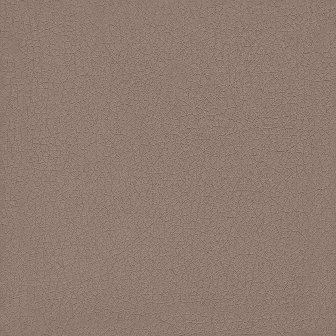 Piel prestige - Gris