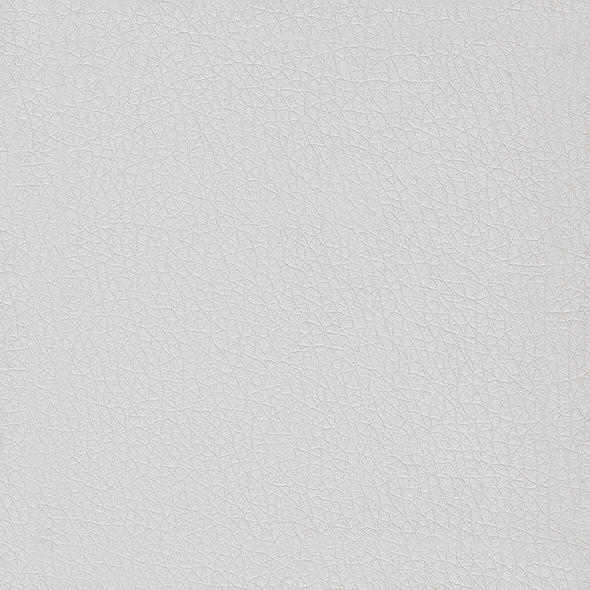 Piel prestige - Hielo