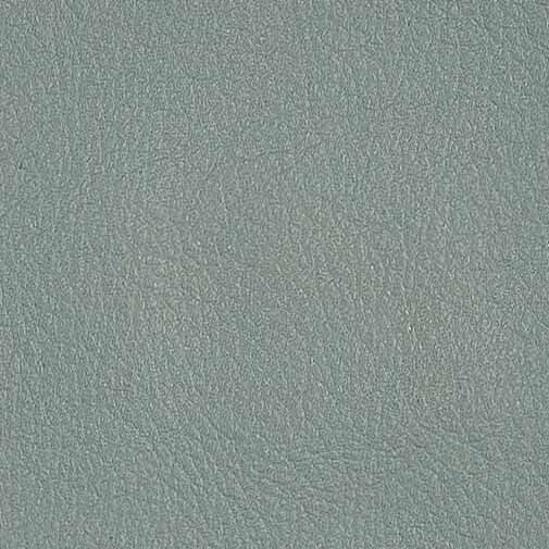 Pelle Premium - Light green with light green piping