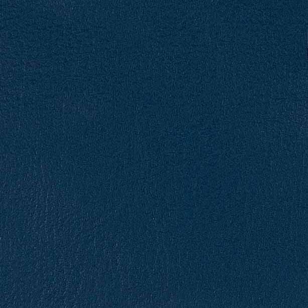 Pelle Premium - Blue with blue piping