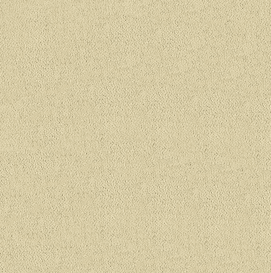 Vegan Nabuk - Zenzero